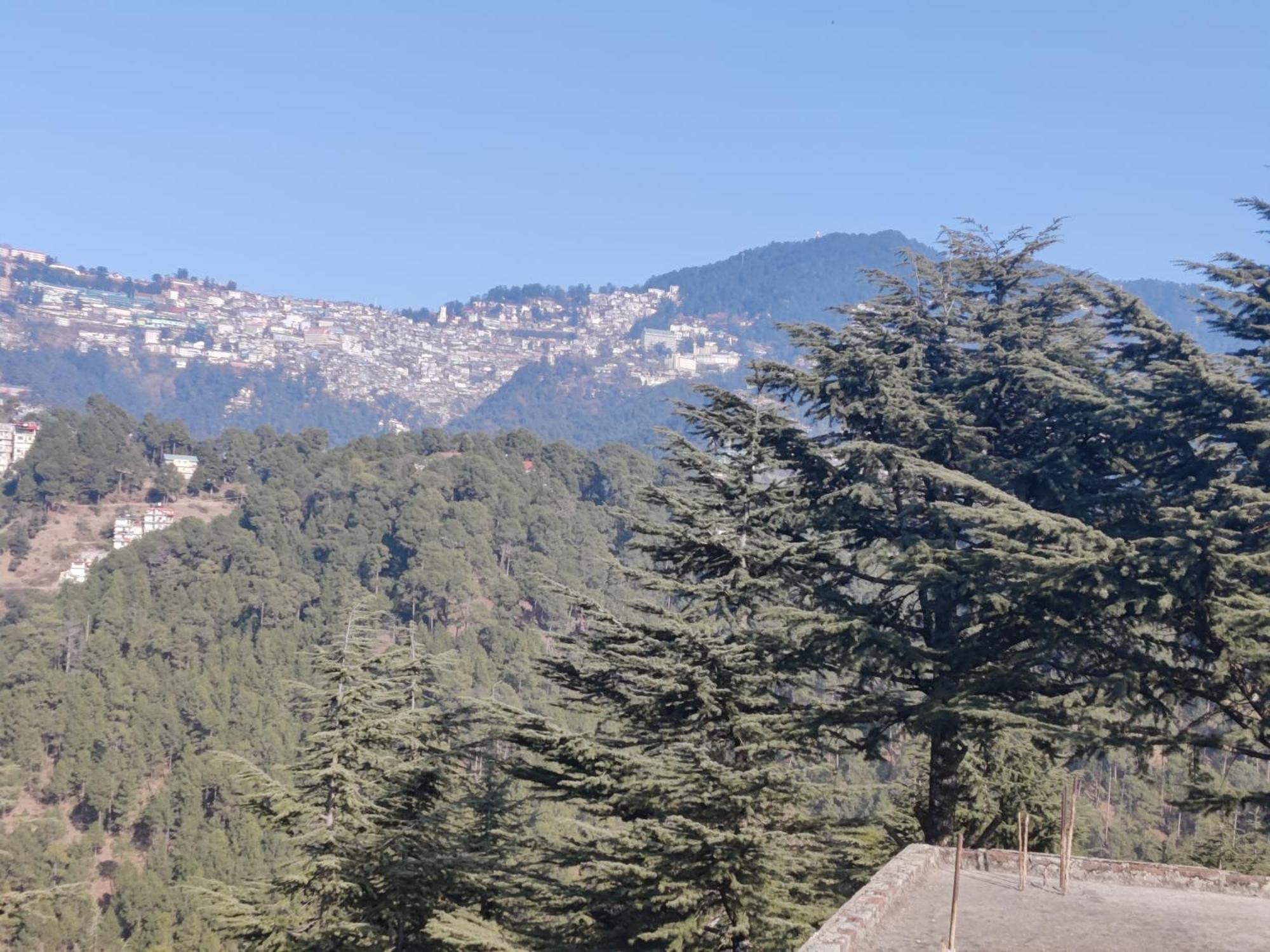 Shimla Hills Apartments 2Bhk Kamer foto